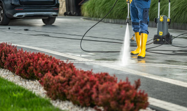 Spring Cleaning in Double Springs, AL